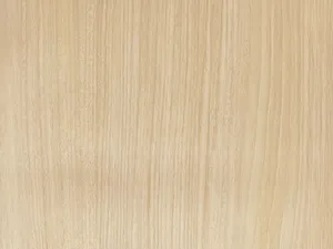 Hêtre Opaline